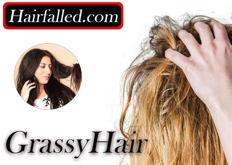 Greasy Hair 10 Awesome Home Remedies To Get Rid Of Greasy Hair