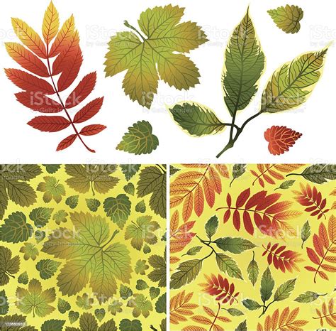 Set Of Vector Autumn Leaves And Seamless Backgrounds Stock Illustration