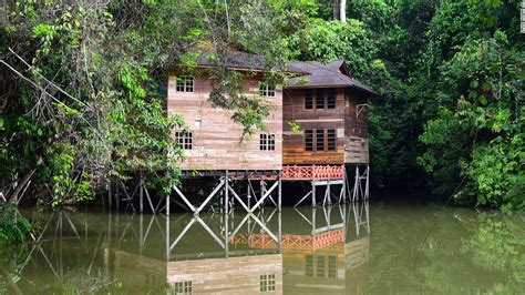 Prenota borneo tree house resort, kota kinabalu su tripadvisor: 12 amazing rainforest resorts in Malaysia - CNN.com