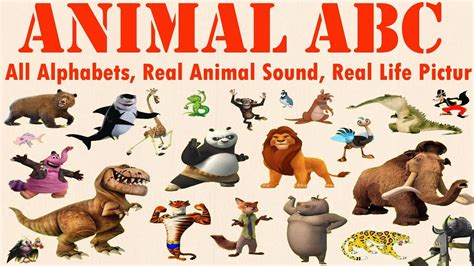 Learn Alphabet With Real Animals And Cartoon Abcd Wild Animals Names