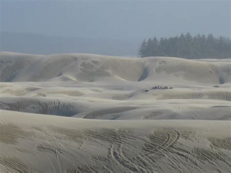 Make your reservation spinreel is proud to offer the only we guide, you drive tour on the oregon sand dunes! Sandland Adventures (Florence, OR): Hours, Address, Top ...