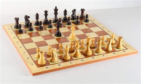 The Grandmaster Chess Set Combo With Storage Chess House