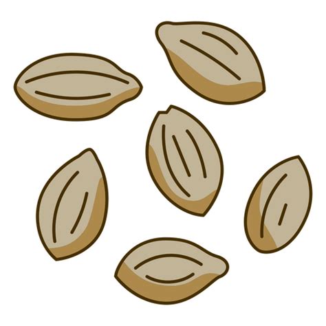 Seeds Png And Svg Transparent Background To Download