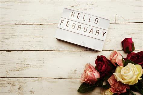 Hello February Alphabet Letters With Pink Flower Decoration On Purple