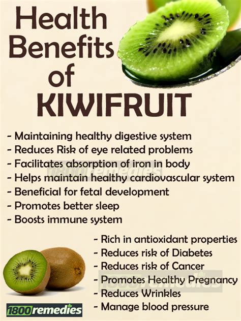 Kiwi Health Benefits Of 10 See What Happens To Your Body Fruit Hot Sex Picture