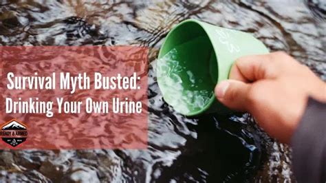 Survival Myth Busted Drinking Your Own Urine Tips By Wilma