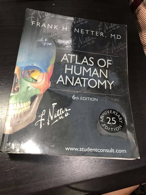 Netter Atlas Of Human Anatomy 6th Edition Hobbies And Toys Books