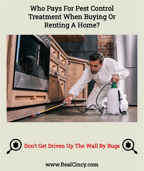 Consider a pest control service plan for regular maintenance. Who Pays For Pest Control Treatment When Buying Or Renting ...