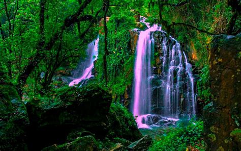 Magical Forest Waterfall Wide Wallpaper 552228