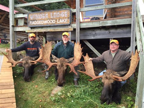Category Ontario Moose Hunting Winoga Lodge Fishing And Hunting In