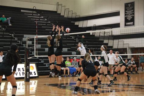 Viper Volleyball Heads To District Vandegrift Voice