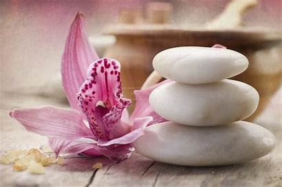 Zen Spa Stones Orchid Pebbles Wallpapers Flower