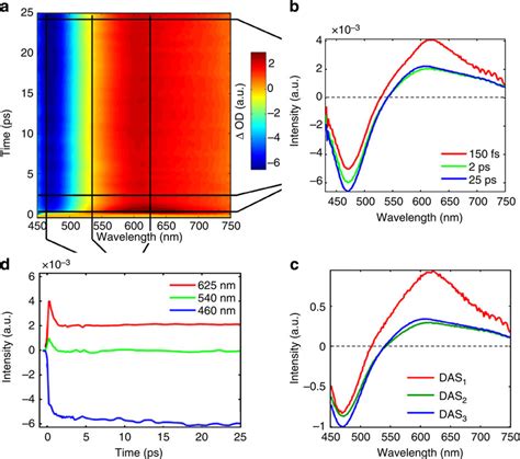 Ultrafast Optical Absorption Spectroscopy Clockwise A Transient