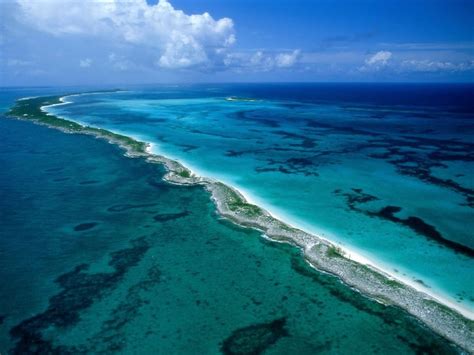 Arrecifes De Coral Uno De Los Biomas Más Ricos Del Planeta