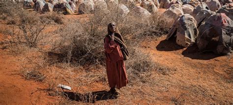 Insegurança Alimentar Extrema Pode Ameaçar 26 Milhões De Somalis Até Metade Do Ano Onu News