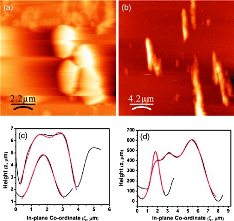 Tapping Mode Atomic Force Microscopy Tm Afm Images Of A Pristine