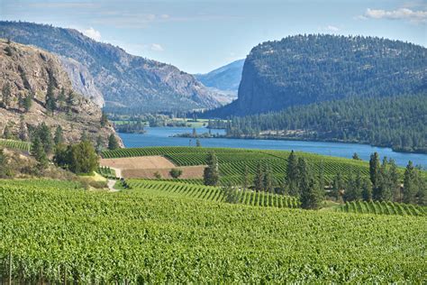 The Okanagan Valley The Grapevine Magazine