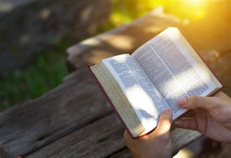 Reading Your Bible Daily Study Gives Closer Look Baptist And Reflector