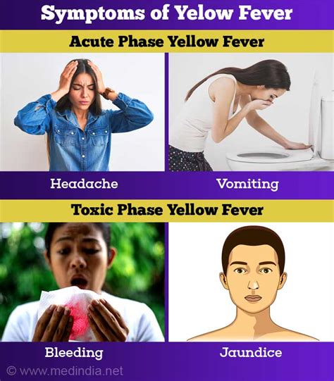 yellow fever acute viral hemorrhagic fever causes symptoms diagnosis and treatment