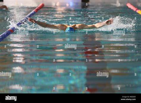 Swimming Competition At The Pool Stock Photo Alamy