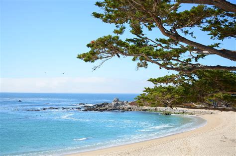 10 Best Things To Do With Kids In Monterey Fun Places In Monterey To