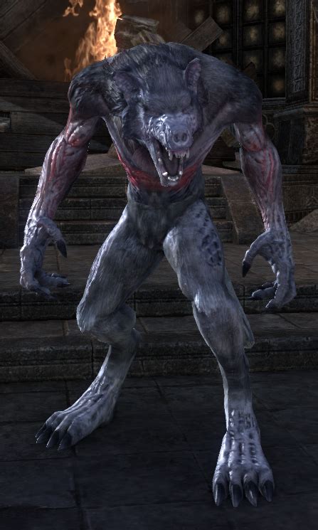 Undead Werewolf Elder Scrolls Fandom Powered By Wikia
