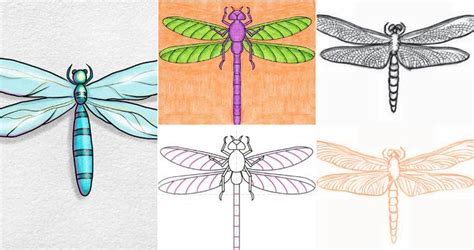 25 Easy Dragonfly Drawing Ideas How To Draw