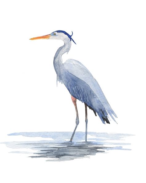 Great Blue Heron Watercolor Print Blue Heron Print Coastal Etsy