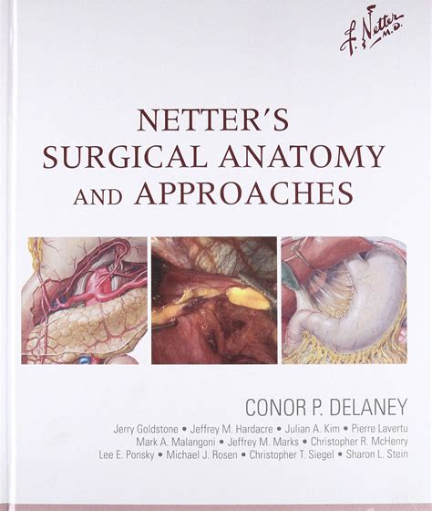 学习资源 专业英语 E Books Netters Surgical Anatomy And Approaches 蚌埠医学院“新医科