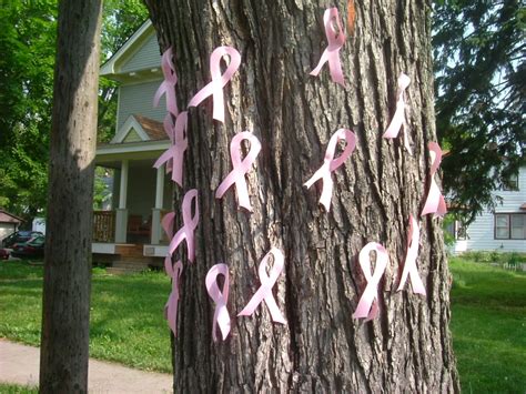 The Story Behind The Pink Ribbon Blog Etc