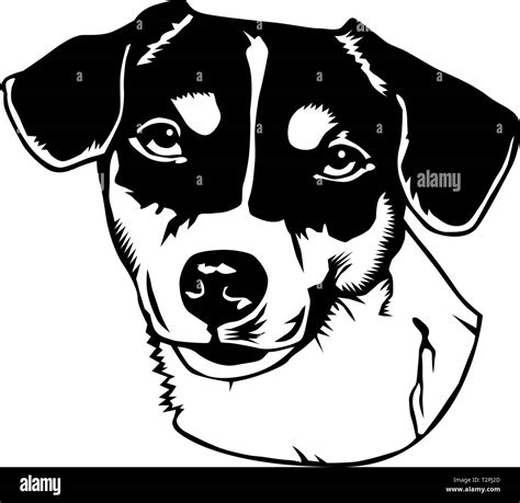 Jack Russell Terrier Vector Illustration Stock Vector Image And Art Alamy