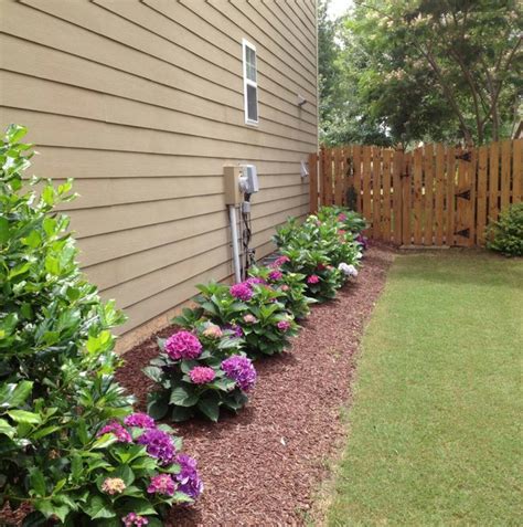 Simple And Clean Hydrangeas Mulch And Grass Side Yard Landscaping