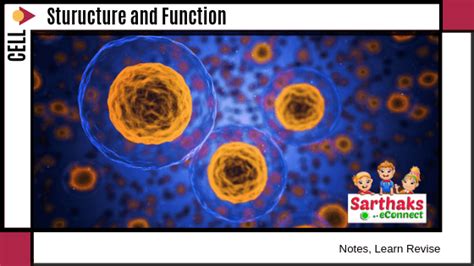 The difference between plant and animal cell is very basic as well as important thing to know from the biological point of view. Cell - Structure and Function Notes, Class 8, For CBSE ...