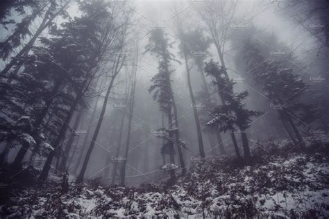 Dark And Gloomy Forest In Winter Stock Photo Containing Murky And