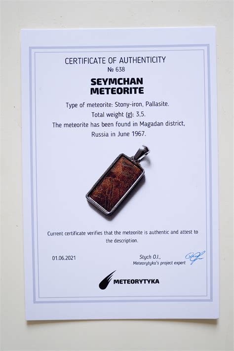 Meteorite Pendant Certificate Of Authenticity Meteorite Etsy