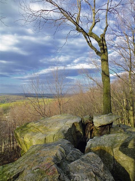 Free Images Landscape Tree Nature Grass Rock Wilderness