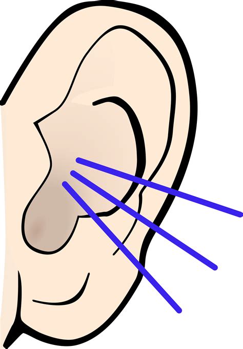 Listening Clipart Ears Clipart Picture 1559775 Listening Clipart Ears