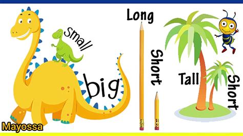 Big And Small Tall And Short Learn For Kids Youtube