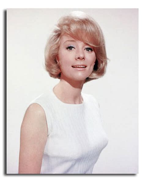 Ss2229162 Movie Picture Of Inger Stevens Buy Celebrity Photos And Posters At