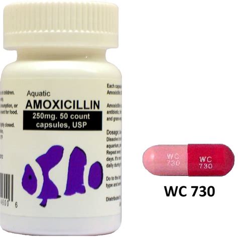 Amoxicillin A Detailed Description Online Canadian Pharmacy