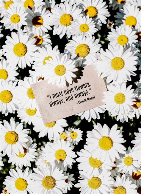 Inspirational Flower Quotes Motivational Sayings With Photos Of Flowers