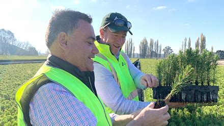 Giovanni domenic john barilaro (born 14 november 1971) is an australian politician who has been the 18th deputy premier of new south wales and the new south wales leader john barilaro. Timberbiz » NSW Nationals want to return to harvesting ...