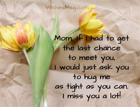 Miss You Messages For Mom After Death Wishesmsg