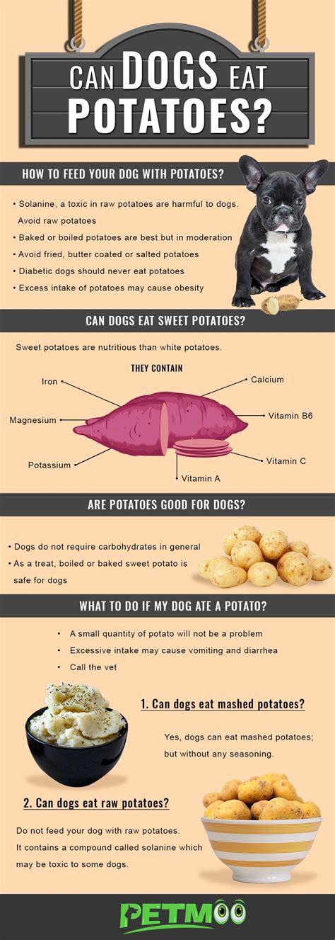 Can Dogs Eat Sweet Potatoes Cookedsyncro Systembg