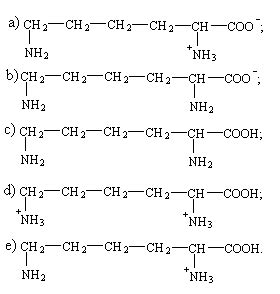 Aminoacizi. Peptide. Proteine