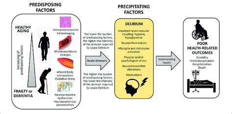 Conceptual Framework Of Predisposing And Precipitating Factors