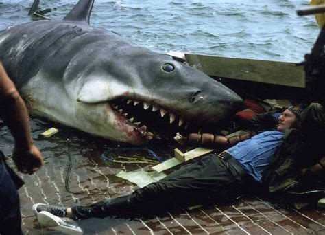 Sluts And Guts On Twitter Robert Shaw Relaxing On The Set Of Jaws