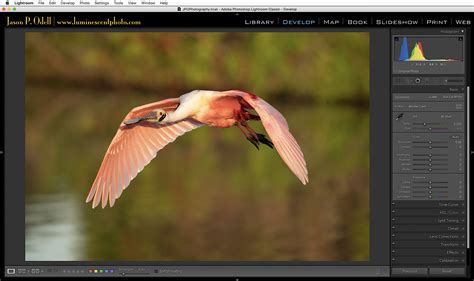 Whats New In Lightroom Classic Cc 73 Jason P Odell Photography