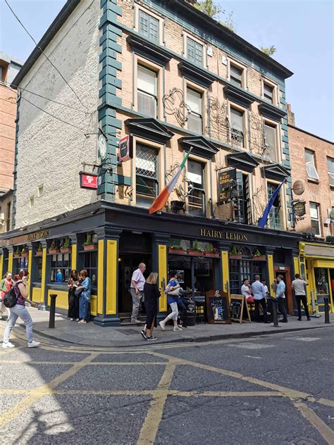 The 13 Best Pubs In Dublin To Have A Guinness At