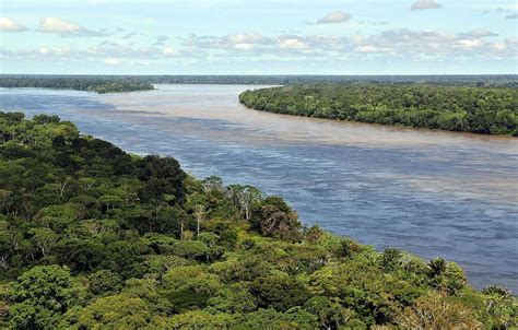 Amazon River Facts Rainforest Cruises